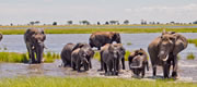 Botswana Victoria Falls Tour